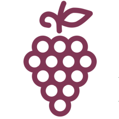 Marie Kaiser – Wine Translator