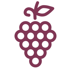 Die Weinübersetzerin